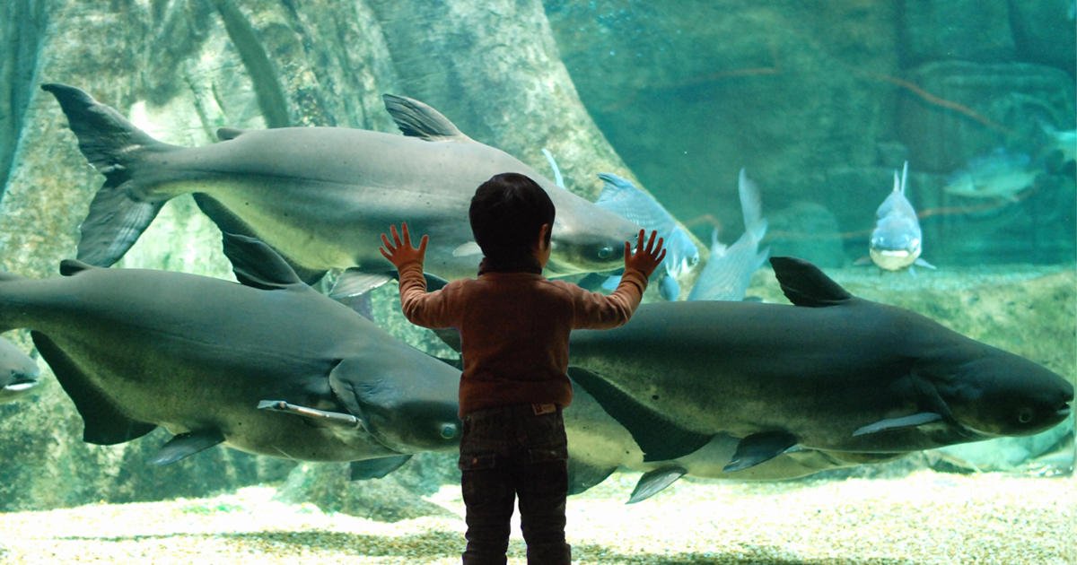 🎡 오아시스 파크